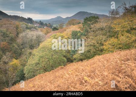 Caer Caradoc und The Lawley von oben gesehen Rectory Wood, Church Stretton, Shropshire, Großbritannien Stockfoto