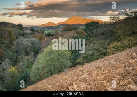 Caer Caradoc und The Lawley von oben gesehen Rectory Wood, Church Stretton, Shropshire, Großbritannien Stockfoto