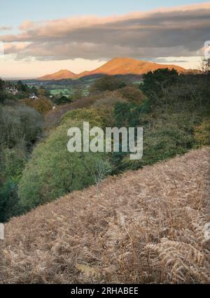 Caer Caradoc und The Lawley von oben gesehen Rectory Wood, Church Stretton, Shropshire, Großbritannien Stockfoto