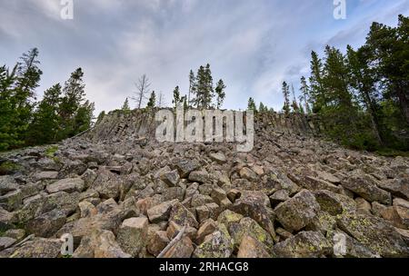 Sheepeater Cliff, Yellowstone-Nationalpark, Wyoming, Vereinigte Staaten von Amerika Stockfoto