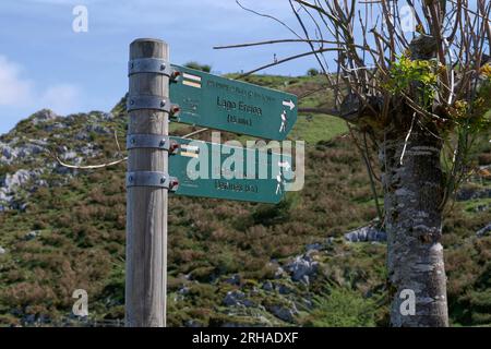 Wegweiser zu Fuß, Picos de Europa Nationalpark, Asturien, Spanien, Europa Stockfoto