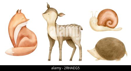 Waldtiere für die Babydusche. Handgezeichnete Aquarellillustration von Waldwild und Fuchs auf isoliertem Hintergrund für kindliche Grußkarten oder Einladungen. Zeichnung von Igel und Schnecke für Kind. Stockfoto