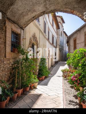 Das wunderschöne Dorf Cesi in der Provinz Terni, Umbrien, Mittelitalien. Stockfoto