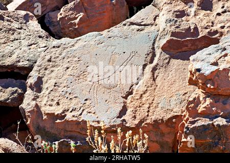 Namibia. Prähistorische Felsstiche in der archäologischen Stätte Twyfelfontein, Region Kunene Stockfoto