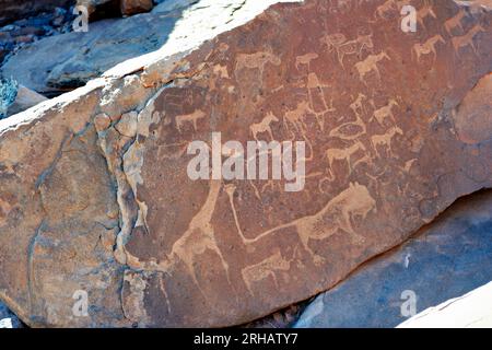 Namibia. Prähistorische Felsgravierung in der archäologischen Stätte Twyfelfontein, Region Kunene Stockfoto