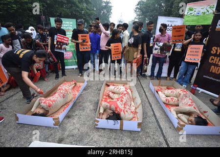 Kalkutta, Indien. 15. Aug. 2023. 15. August 2023, Kalkutta, Indien. Tierliebhaber veranstalten am 76. Indischen Unabhängigkeitstag vor der Victoria Memorial Hall am 15. August 2023 in Kalkutta, Indien, eine Protestdemonstration mit symbolischem Menschenfleisch in Tabletts, eine ergreifende visuelle Darstellung von Tieren, die Schrecken der Fabrikzucht ausgesetzt sind, und Plakate gegen die Ausbeutung von Tieren. (Foto: Biswarup Ganguly/Eyepix Group) Kredit: Eyepix Group/Alamy Live News Stockfoto