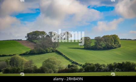 Ein sonniger Tag in den Lincolnshire Wolds mit hügeligem Gelände mit Hecken und Bäumen, die Schatten werfen. Der teilweise bewölkte Himmel sieht wunderschön aus. Stockfoto