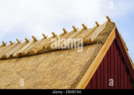 Nahaufnahme eines neuen Strohdaches eines historischen Hauses, hölzerne Verstärkung des Dachrückens Stockfoto