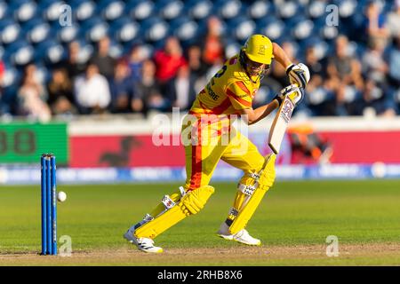 Sophia Gardens, Cardiff, Großbritannien. 14. Aug. 2023. The 100 Mens Cricket, Welsh Fire gegen Trent Rockets; Trent Rockets Tom Kohler-Cadmore von Trent Rocket in Aktion. Kredit: Action Plus Sports/Alamy Live News Stockfoto