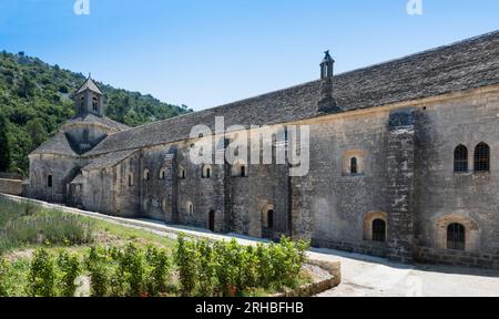 Die Abtei Senanque bei Gordes ist eines der am besten erhaltenen Zisterzienserklöster. Vaucluse, Provence, Frankreich Stockfoto