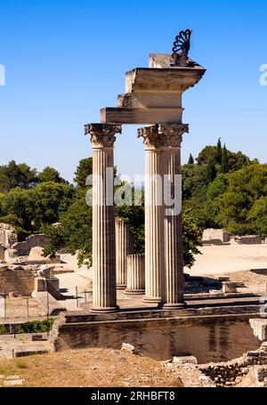 Restaurierte Säulen des korinthischen Doppeltempels im ersten Forum Romanum. Saint Remy de Provence, Bouches du Rhone, Provence, Frankreich Stockfoto