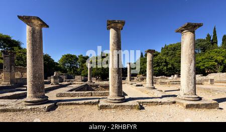 Das Haus der Ameisen im alten Glanum. Saint Remy de Provence, Bouches du Rhone, Provence, Frankreich Stockfoto