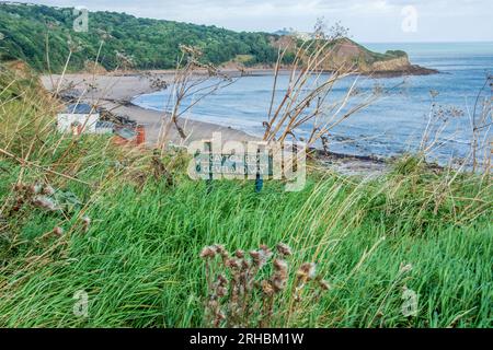 Cayton Bay ist ein malerisches Küstengebiet in North Yorkshire, England. Es liegt etwa 8 Meilen südlich der beliebten Stadt Scarborough Stockfoto