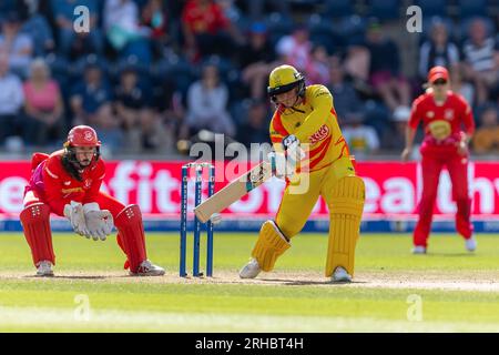 14. August 2023; Sophia Gardens, Cardiff, Wales: The 100 Womens Cricket, Welsh Fire versus Trent Rockets; Trent Rockets Women's Lizelle Lee in Batting Action. Stockfoto