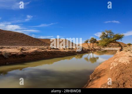 Überflutetes Tal in Wüstenlandschaft, Saudi-Arabien Stockfoto