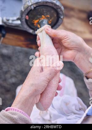 Von oben nach oben, nicht wiedererkennbare Seniorin, die die Wursthülle mit Hackfleisch aus der Maschine füllt, während sie leckeren Chorizo in traditionellem Teig zubereitet Stockfoto