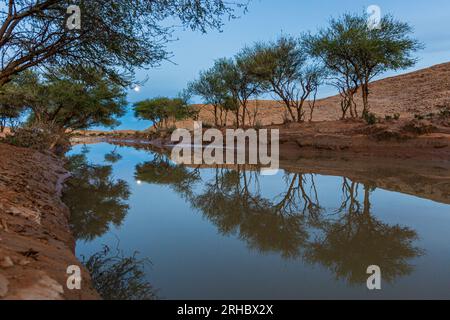 Mond über überflutetem Tal in Wüstenlandschaft, Saudi-Arabien Stockfoto