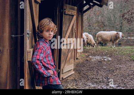 Seitenansicht eines Kindes, das in der Nähe einer Holzscheune auf dem Rasen steht, mit flauschigen weidenden Skudde-Schafen auf dem Land und in die Kamera schaut Stockfoto