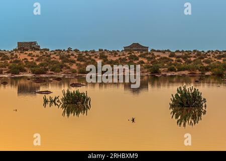 Zelt und LKW in einer überfluteten Wüstenlandschaft nach Regen, Saudi-Arabien Stockfoto