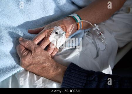 Von oben nicht erkennbarer Seniorenmann, der während der Behandlung die Hand einer kranken Frau hält, die auf dem Krankenbett liegt und einen angeschlossenen peripheren Venenkatheter hat Stockfoto