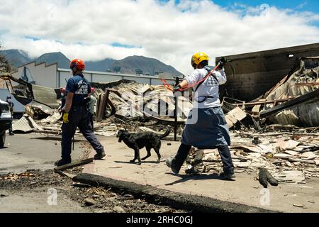 Lahaina, Hawaii (14. August 2023) - FEMA Urban Search and Rescue Teams, Washington Task Force 1 und Nevada Task Force 1, Fortsetzung Maui Wildfire Response. Stockfoto