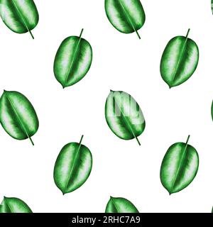 Aquarell realistische, nahtlose Muster tropische Darstellung von Ficus-Blatt isoliert auf weißem Hintergrund. Wunderschöne botanische handbemalte blumige Elefanten Stockfoto