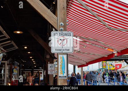 San Francisco, Kalifornien, USA. 8. November 2015. Schilder für die Wipeout Bar & Grill am Pier 39 an der Fisherman's Wharf in San Francisco. Es heißt "Wilde populäres Surfrestaurant". (Kreditbild: © Ian L. SITREN/ZUMA Press Wire) NUR REDAKTIONELLE VERWENDUNG! Nicht für den kommerziellen GEBRAUCH! Stockfoto