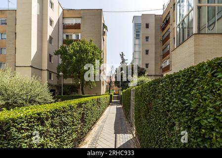 Einfahrt zwischen Wohngebäuden, die von Hecken, Laubbäumen und Gras flankiert werden Stockfoto