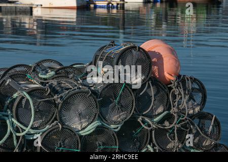 Garnelenfallen, die auf dem Pier stapeln, aus nächster Nähe bei Sonnenlicht Stockfoto