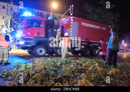 Brandenburg An Der Havel, Deutschland. 15. Aug. 2023. Ein Feuerwehrauto fährt die Straße entlang. Ein Gewitter verursachte viel Schaden. Ungewöhnlich starke Gewitter haben die Brandenburger Feuerwehr auf Trab gehalten, vor allem im Süden und Osten des Bundesstaates Credit: Michael Bahlo/dpa/Alamy Live News Stockfoto