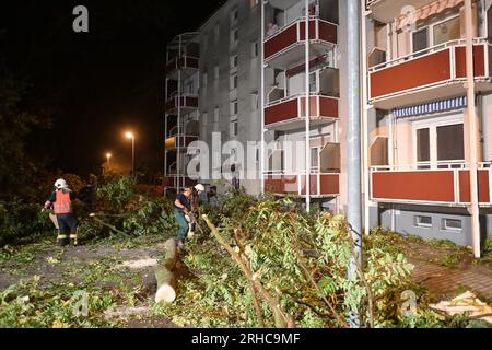 Brandenburg An Der Havel, Deutschland. 15. Aug. 2023. Umgefallene Bäume liegen vor einem Haus. Ein Sturm hat viel Schaden angerichtet. Ungewöhnlich starke Gewitter haben die Brandenburger Feuerwehr auf Trab gehalten, vor allem im Süden und Osten des Bundesstaates Credit: Michael Bahlo/dpa/Alamy Live News Stockfoto