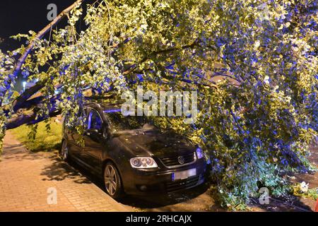 Brandenburg An Der Havel, Deutschland. 15. Aug. 2023. Ein Auto liegt unter einem umgestürzten Baum. Ein Sturm hat viel Schaden angerichtet. Ungewöhnlich starke Gewitter haben die Brandenburger Feuerwehr auf Trab gehalten, vor allem im Süden und Osten des Bundesstaates Credit: Michael Bahlo/dpa/Alamy Live News Stockfoto