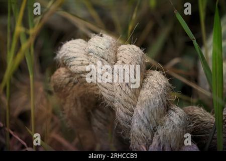 Art4Life, Kunstdruck und Material. Seil, ganz oben im Makro. Es häufte sich zufällig ein braunes Seil an. Stockfoto