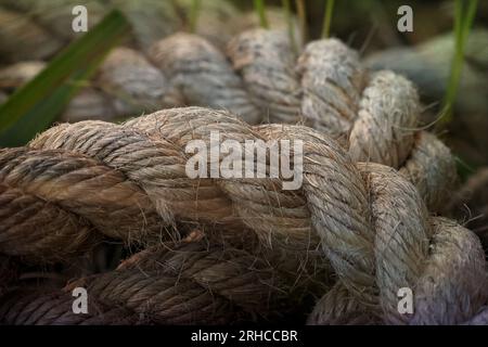 Art4Life, Kunstdruck und Material. Seil, ganz oben im Makro. Es häufte sich zufällig ein braunes Seil an. Stockfoto