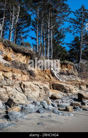 Devil's Punchbowl - Oregon 2022 Stockfoto