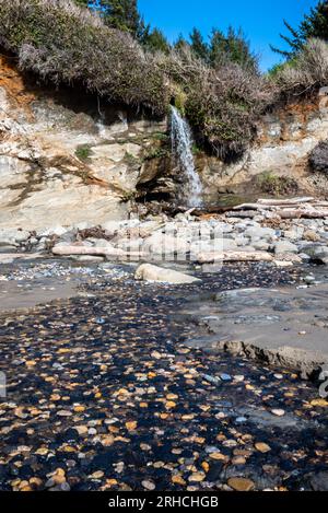 Devil's Punchbowl - Oregon 2022 Stockfoto