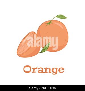 Vektorset aus farbenfrohen Scheiben und ganz saftigem Orange. Frischer Cartoon Orange auf weißem Hintergrund. Stock Vektor