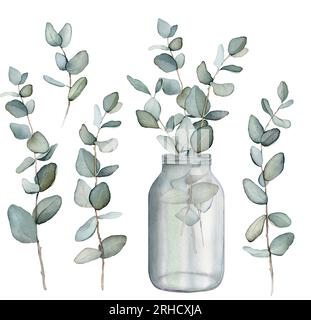 Eukalyptus, Blumenstrauß in einer Vase. Von Hand gezeichneter Clipart isoliert auf weißem Hintergrund Aquarell Blumenmuster Illustration Set grüne Blattnäste Kollektion, für Stockfoto