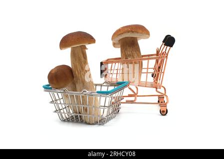 Einkaufswagen gefüllt mit Penny Bun (Boletus edulis) Pilzen, sammeln Wildpilze zum Abendessen. Porcini oder cep Stockfoto