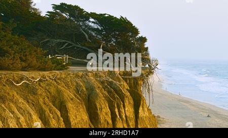 Zypressen auf der Spitze der Klippe entlang des Küstenwegs in der Nähe der Half Moon Bay. Stockfoto