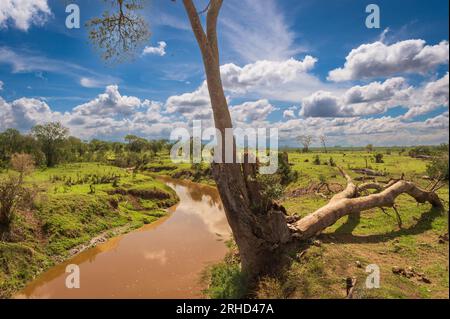Ol Pejeta Conservancy Landschaft, Kenia, Afrika Stockfoto