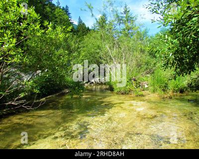 Flachwasserpool umgeben von üppiger Buschvegetation in der Nähe der Great Soca Schlucht im Trenta Tal, Slowenien Stockfoto