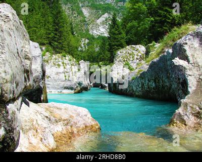 Der smaragdfarbene Soca-Fluss an der Großen Soca-Schlucht in Trenta, Slowenien Stockfoto