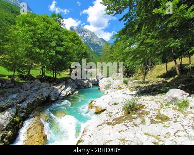 Der smaragdfarbene Soca-Fluss an der kleinen Soca-Schlucht im Trenta-Tal, Slowenien Stockfoto