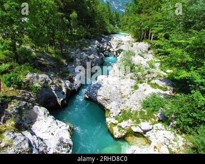 Der smaragdfarbene Soca-Fluss an der kleinen Soca-Schlucht im Trenta-Tal, Slowenien Stockfoto