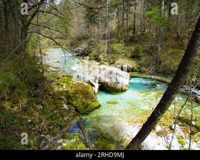 Der wunderschöne Kamniska Bistrica Fluss in Slowenien im Frühjahr mit einem großen Felsbrocken in der Mitte und moosbedeckten Felsen am Ufer Stockfoto