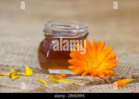 Honig und Kalendula Blume - Nahaufnahme Stockfoto