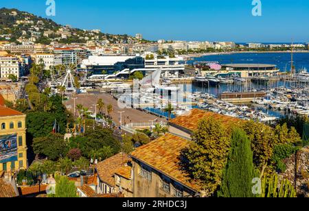 Cannes, Frankreich - 31. Juli 2022: Cannes Stadtzentrum mit Yachthafen und Yachthafen und Filmfestival Palast der Festivals und Kongresse Stockfoto