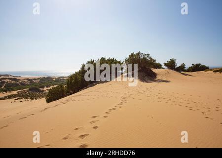 Die Dünen von Piscinas, im Süden der Insel Sardinien Stockfoto