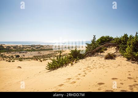 Die Dünen von Piscinas, im Süden der Insel Sardinien Stockfoto